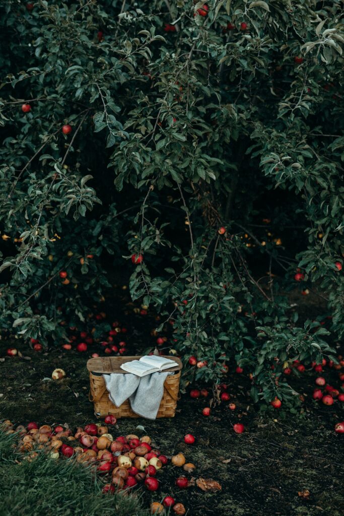 Liana Mikah YJWcZkXlGlI Unsplash 683x1024