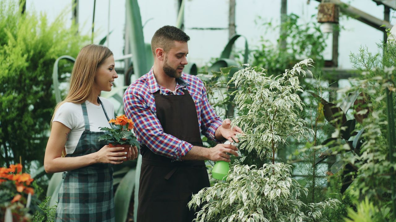 Two gardeners nurturing plants inside a greenhouse, wearing aprons.