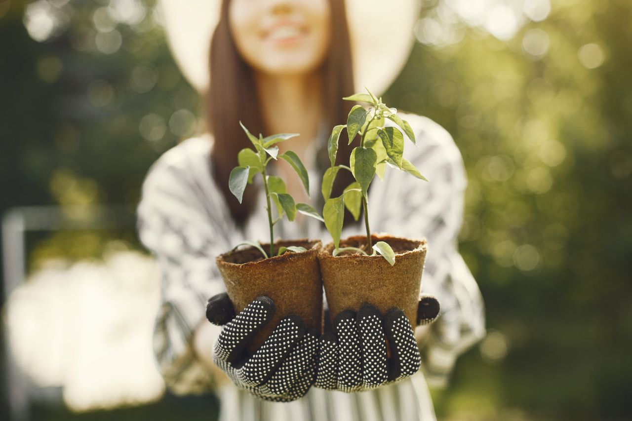 A young woman in gloves holds plant seedlings in pots, showcasing gardening and growth.