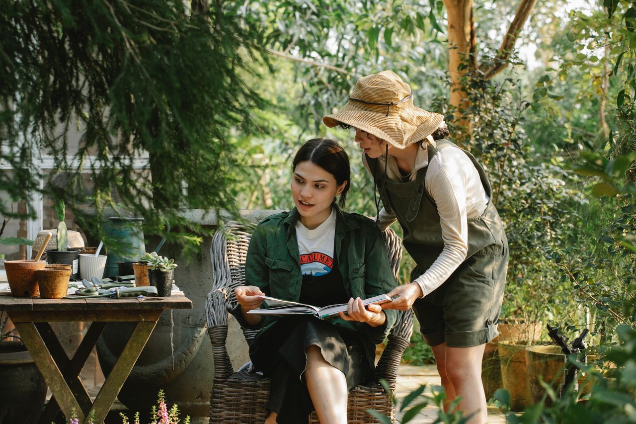 hero-img-01 Young multiracial female horticulturists with textbook speaking against assorted succulent plants in pots in summer garden