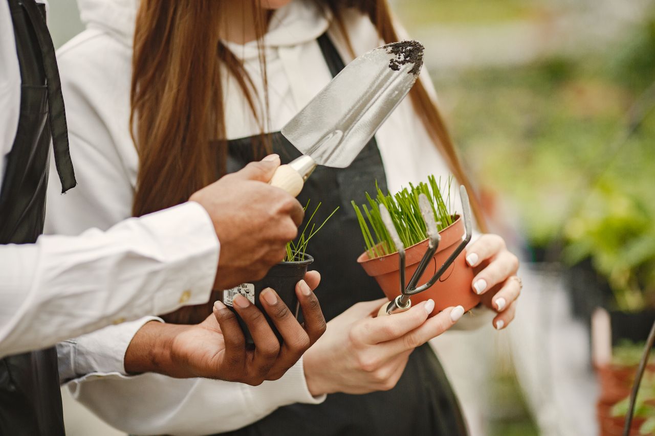 gallery-6 Gardeners in greenhouse holding seedlings and gardening tools. Close-up view.