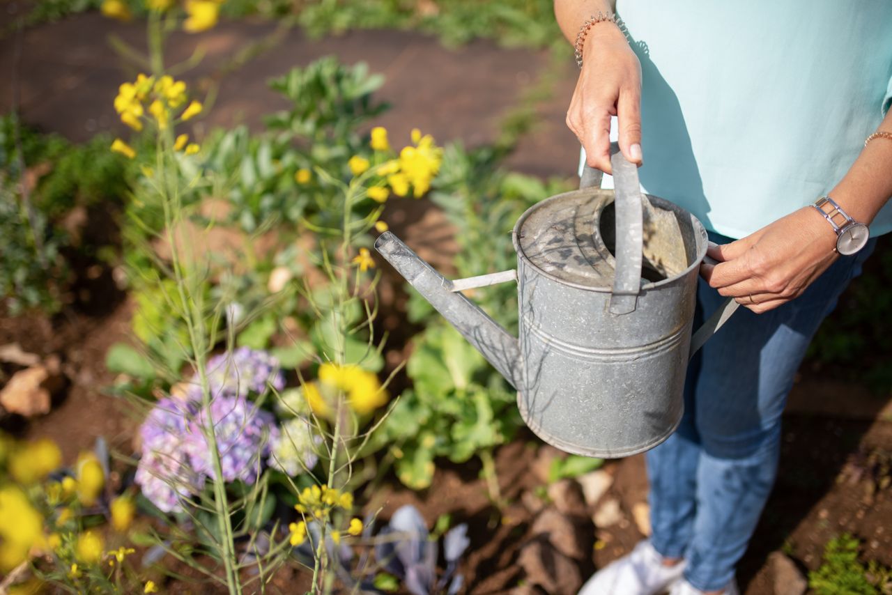 services-03 A woman holding a watering can in a vibrant garden setting in Portugal.