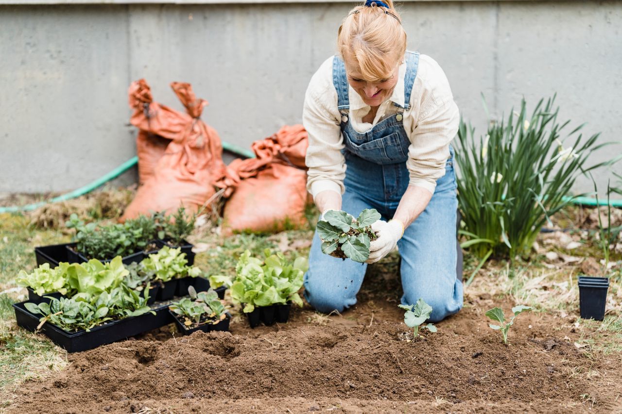 gallery-5 Happy female gardener in gloves planting green seedlings while sitting on ground near wall in garden