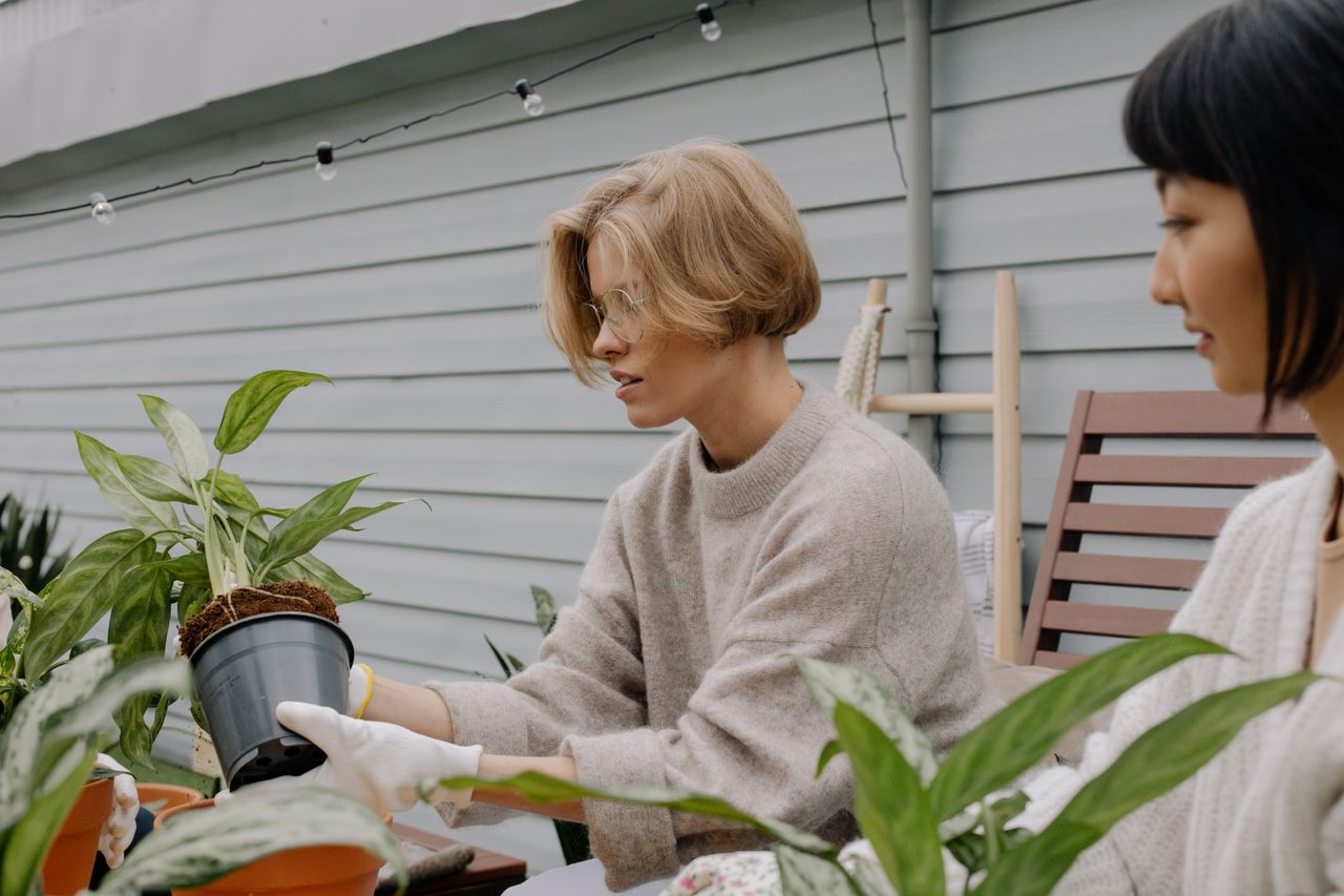 services-02 Two women gardening and replanting houseplants outside in a serene setting.