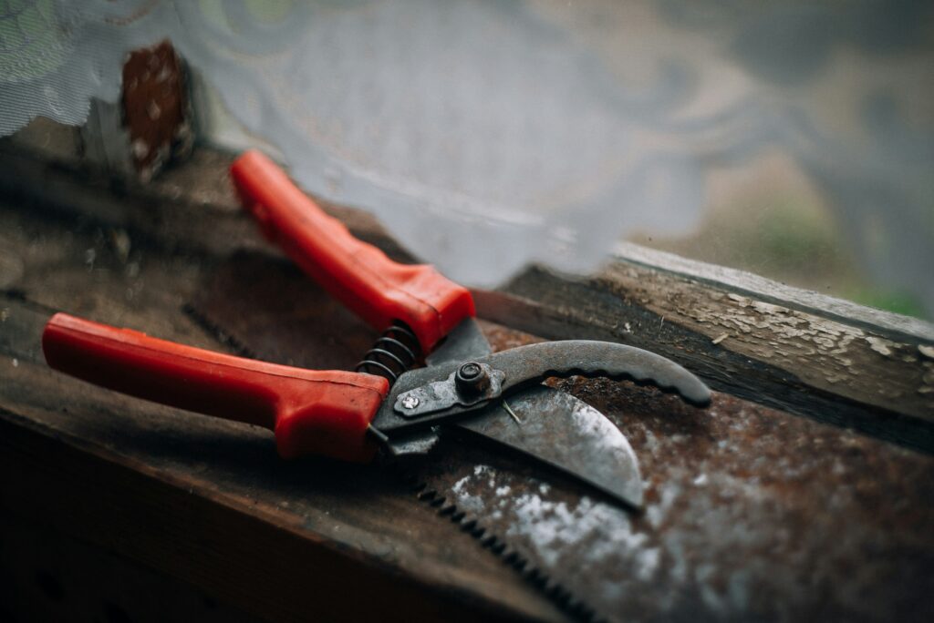 Vlad Shalaginov PWw3bZXeCiY Unsplash 1024x684